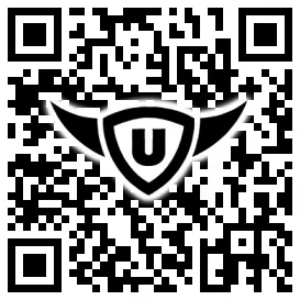 QR-Code Stonies