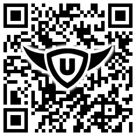 QR-Code Stonies